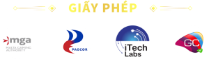 giay-phep-hoat-dong-789pceo 300x86